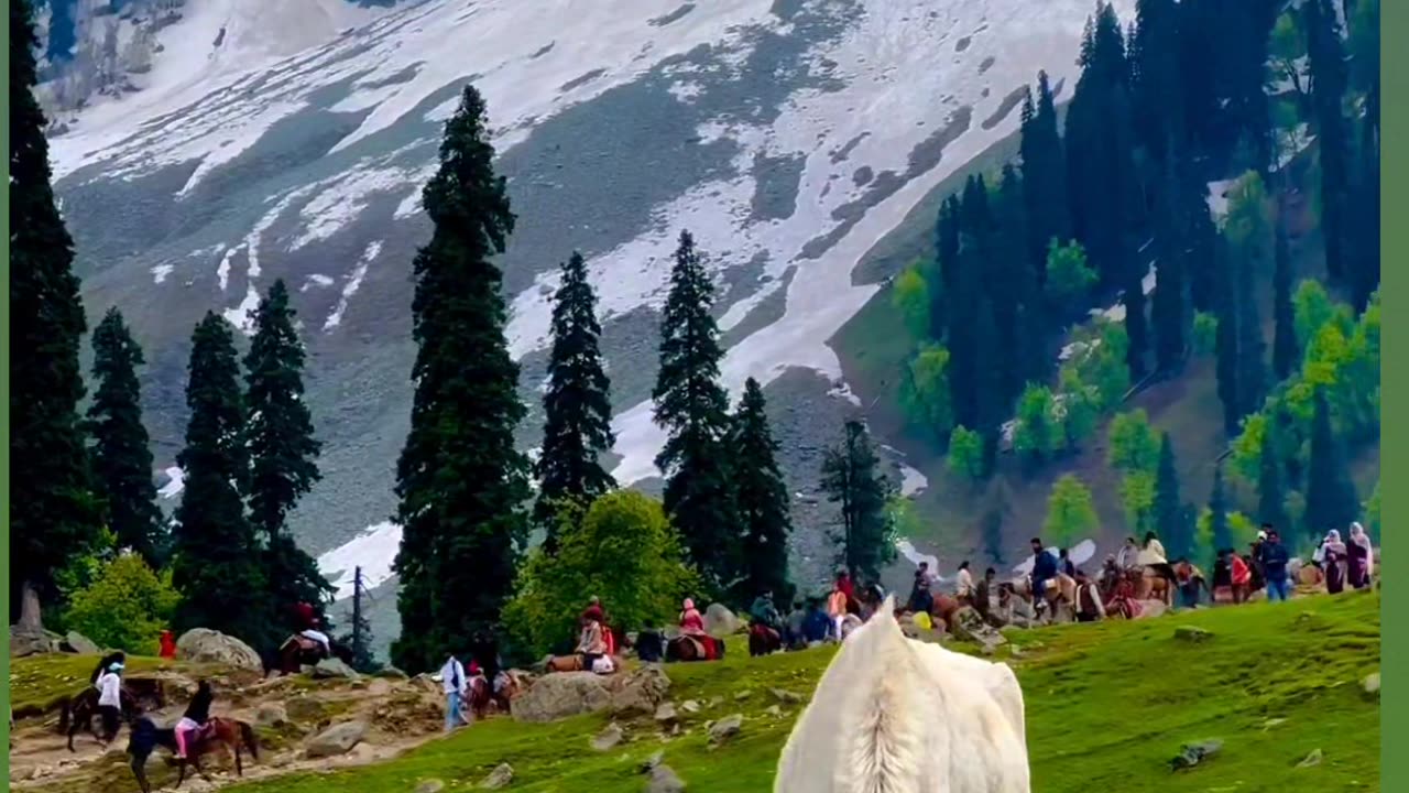 Nature of Kashmir ❤️