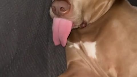 Pulling my tongue while I sleep)))