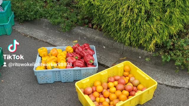 3D-7D Life Mental Coach Red Pill