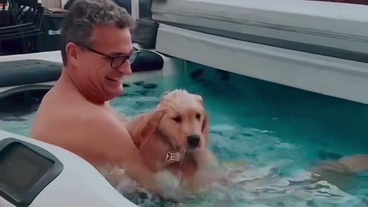 Brave Puppy Jumps Into Hot Tub