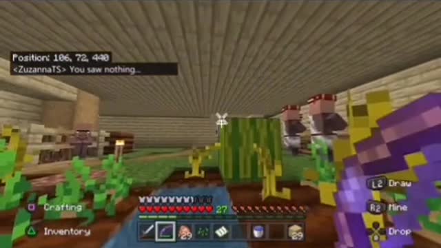Minecraft highlights