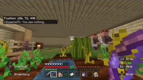 Minecraft highlights