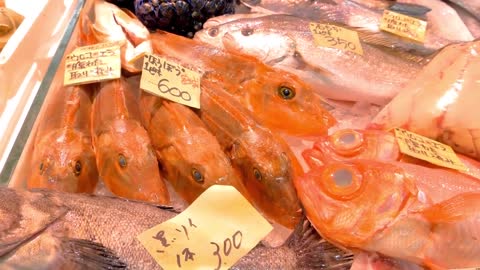 the tsukiji fish market
