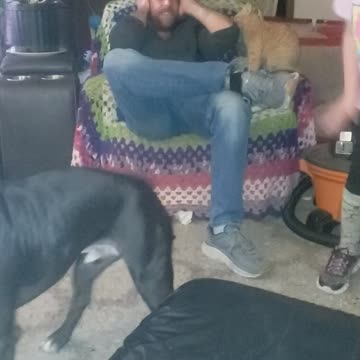 The cats are hungry..lol