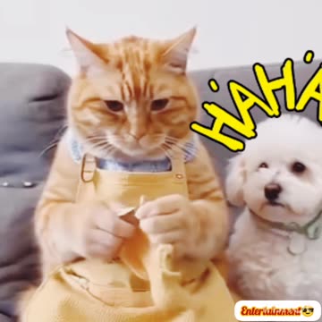 Funny🤣 viral video😝😝