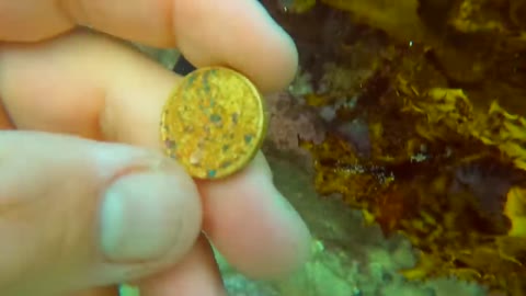 Found Incredibly RARE 15CT ROMAN Gold Treasure UNDERWATER!! What's it worth?-18