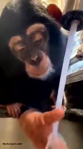 420's CLIP OF THE DAY April 3, 2024