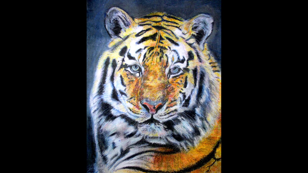 PHOTO REALISM WILDLIFE AND PORTRAIT ART