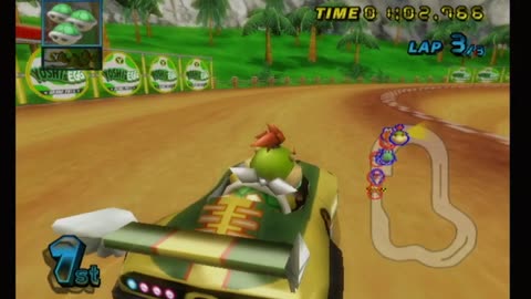 Mario Kart Wii Race198