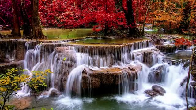 Relaxing Music | Sleeping, Meditation, Stress Relief | [6666] ⭐️