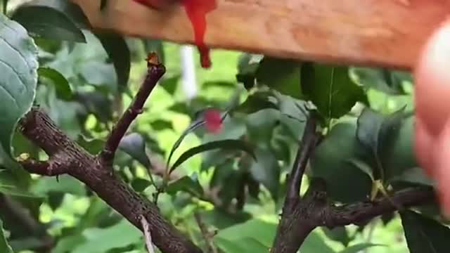 OMG 😱 have a try😋🤤