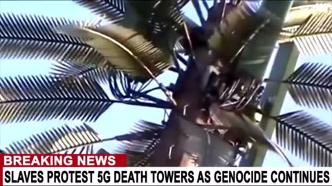 Hidden in plain site