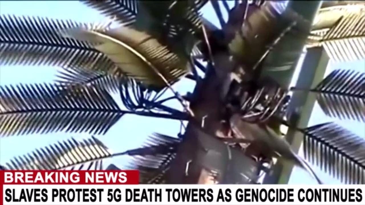 Hidden in plain site