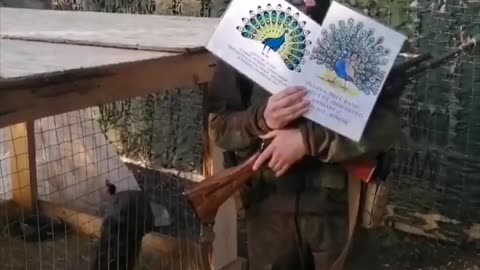 Russians Sending Peacocks to the Frontlines for "inspiration"