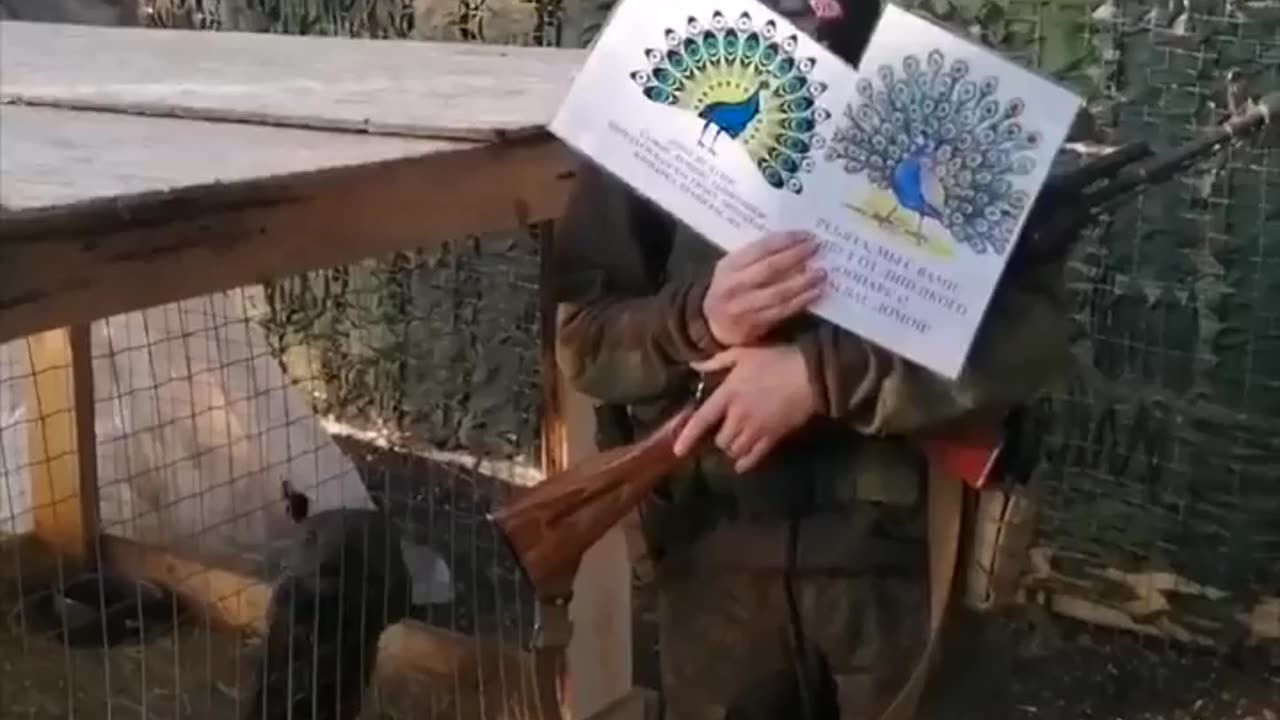 Russians Sending Peacocks to the Frontlines for "inspiration"