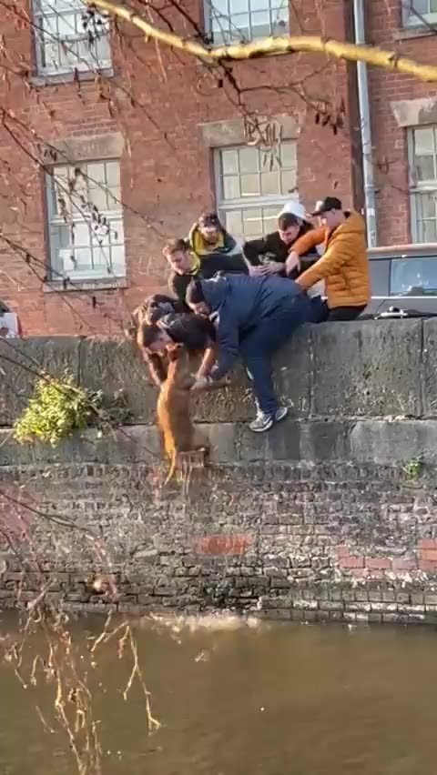 Toxic Masculinity at work