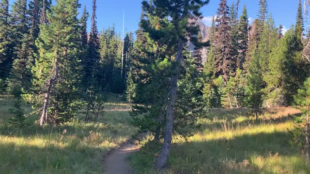 Central Oregon - Mount Jefferson Wilderness - Peaks of the Mountain Peak