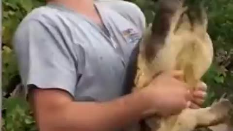 Turtle Kisser