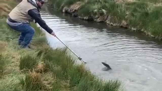 There are just certain audios that hit different. We've had so much fun over the years out fishing