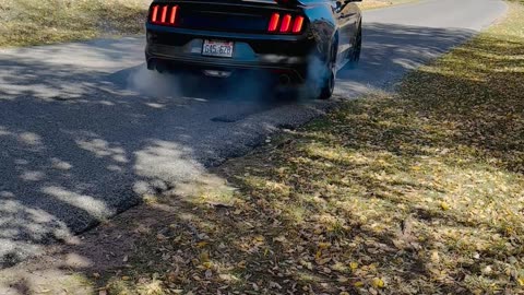 MASSIVE BURNOUT IN MY MUSTANG