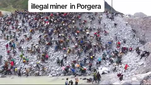 Illegal miners