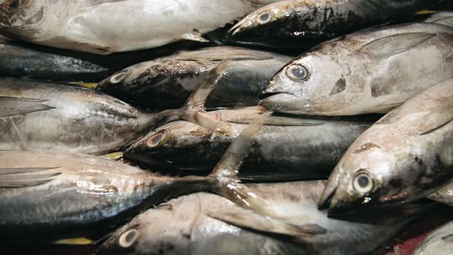 Fish For Sale In A Wet Market