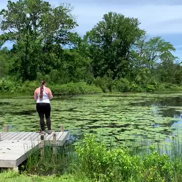 IMPOSSIBLE NOT TO BE PEACEFUL!!! 😊 BIRD SONG