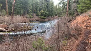 Exploring the Wild River Shoreline – Metolius River National Recreation Area – Central Oregon