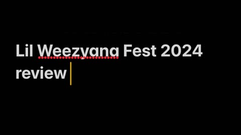 Lil Weezyana Fest 2024 review