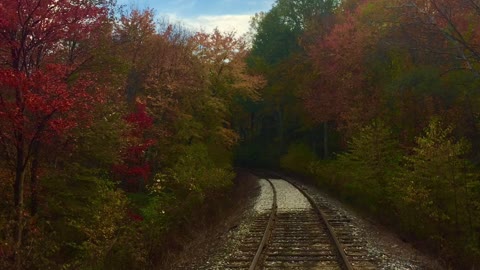 Joyous Fall