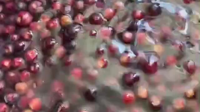 Kis kis ko faalse ka juice pasand hai