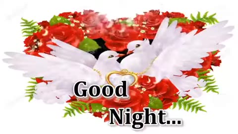 X2Download.app-Good night