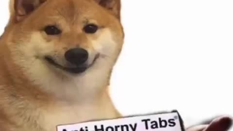 Take Them Bro