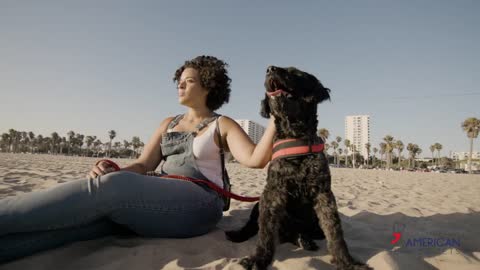 American Service Pets, An emotional support animal story