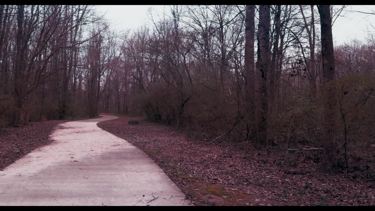 Lucille Creek Trail Powder Springs Rd to Shipp Rd