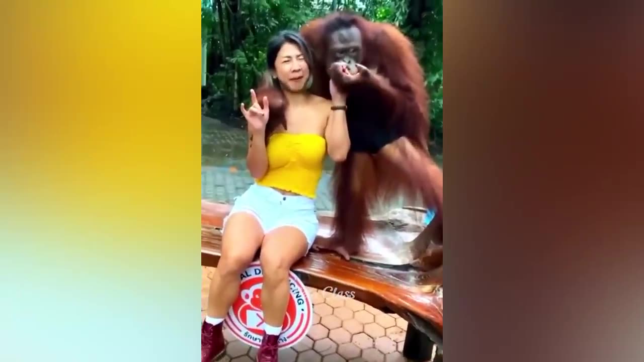 Funniest Animals 2023 π Funny Dogs and Cats Videos πΊπΆ Part 2