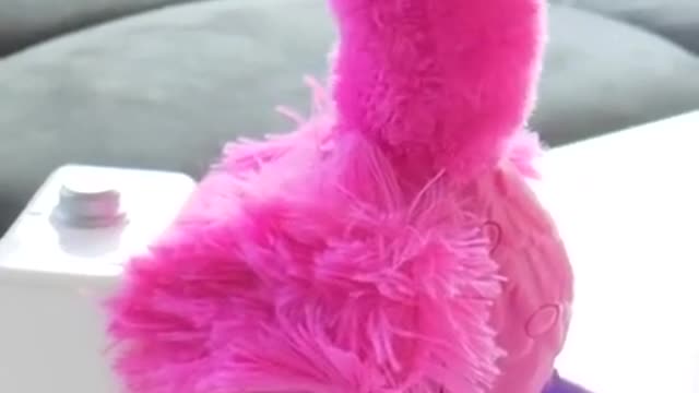 Funny toy. Flamingo