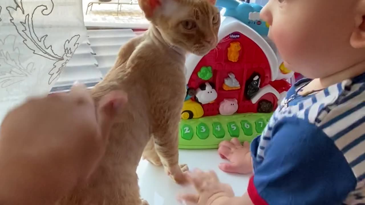 Cute baby with cat