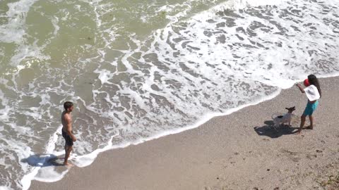 The dog is playing on the beach with its owner