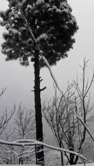 Snow fall in my town