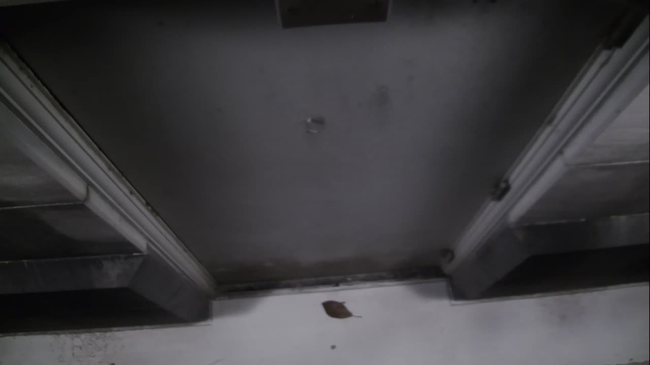 0921USCG00HT18Exterior_2021-01-06_01h00min01s007ms.mp4