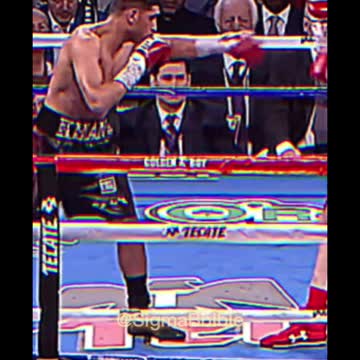 Canelo Edit 👀