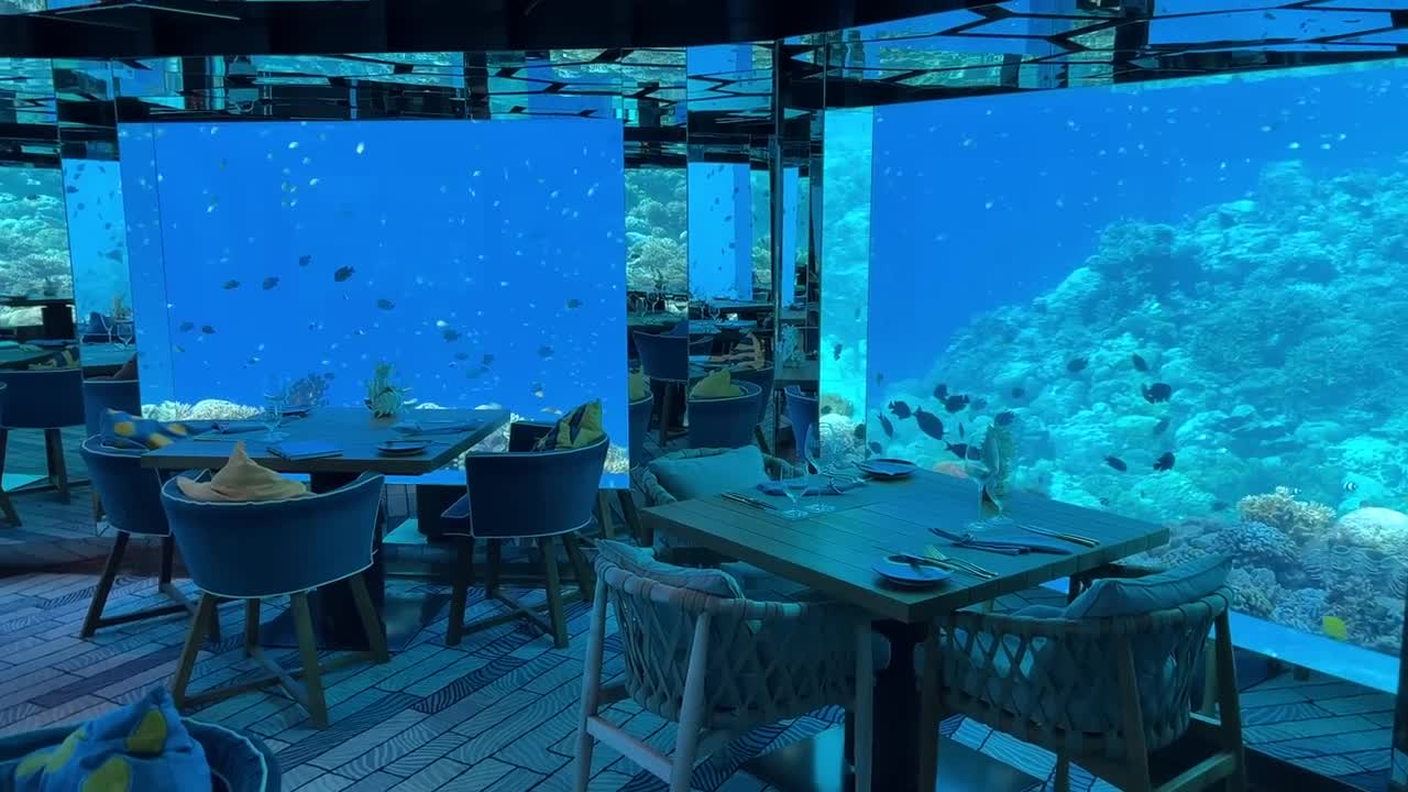 Underwater restaurant in the Maldives | Surreal fine dining experience