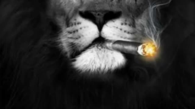 Стрим абхазких блогеров - 27-01-2022