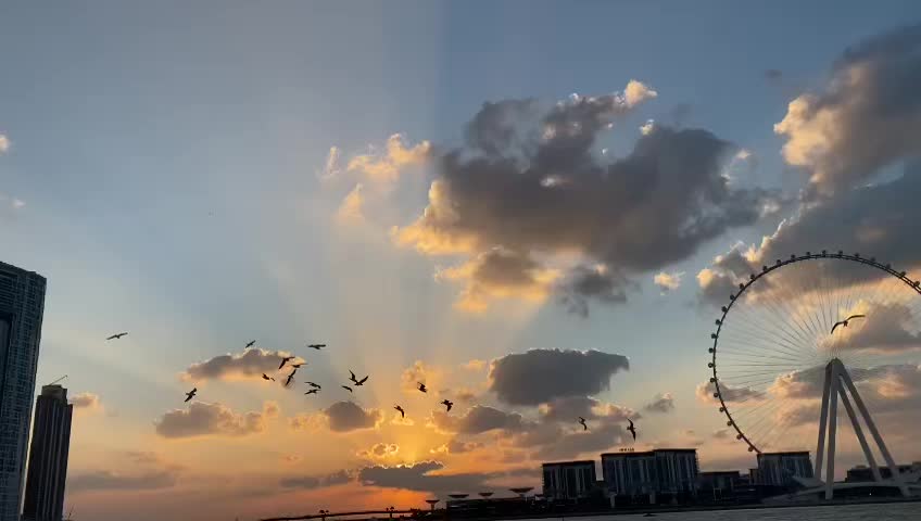 Birds flying over the beach of Dubai Eye