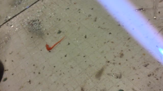 Making a carburetor on a hammer