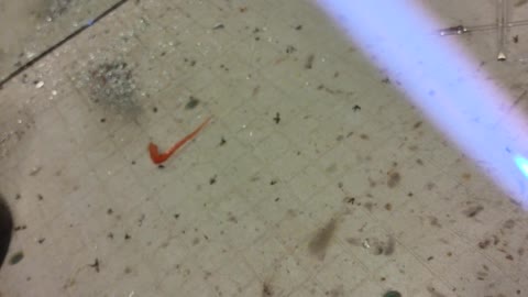 Making a carburetor on a hammer