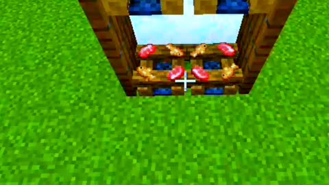 Minecraft TIK TOK HACK 1