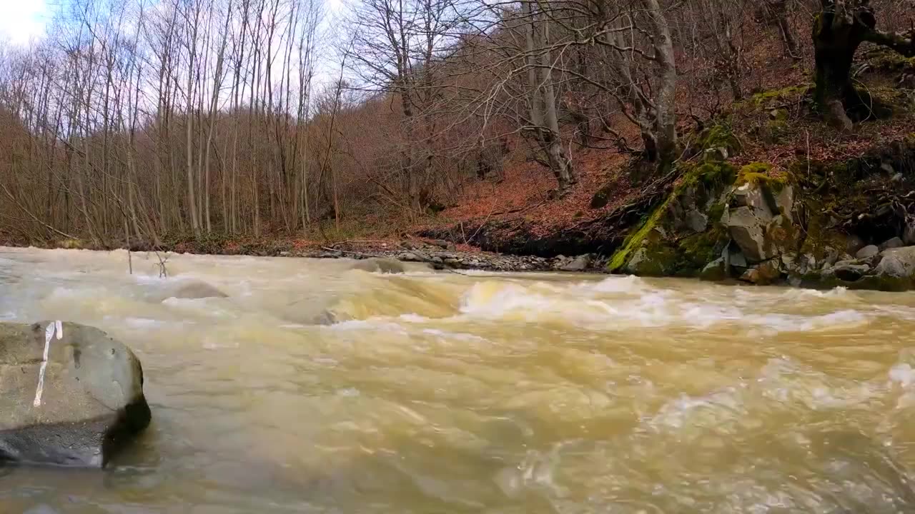 Healing Beauty: Travelling along a mountain river