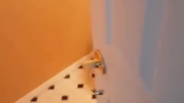 funny random clip 😂😂😂